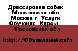 Дрессировка собак - Московская обл., Москва г. Услуги » Обучение. Курсы   . Московская обл.